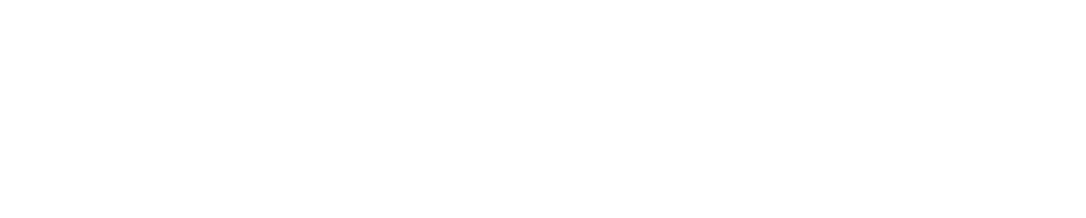 Parceiro 4